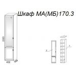 Шкаф М170.3