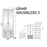 Шкаф М250.3