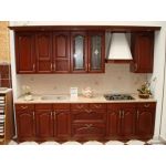 Ника дуб 13в